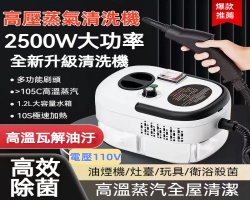 高壓蒸氣清洗機